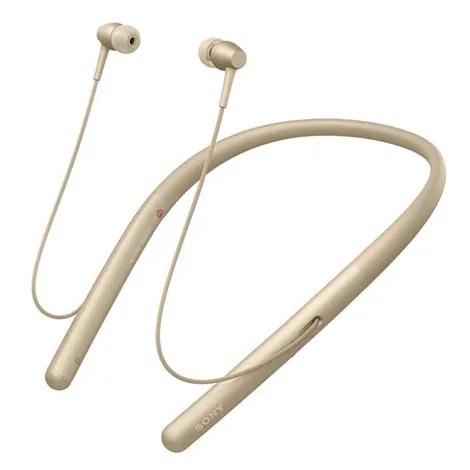 WI-H700 NM ペールゴールド