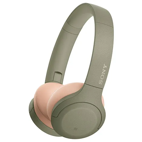 WH-H810 G アッシュグリーン