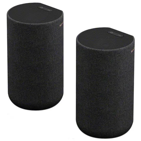 リアスピーカー（HTA7000対応） SA-RS5