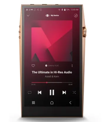 A&ultima SP3000 Copper IRV-AK-SP3000-COP 256GB カッパー