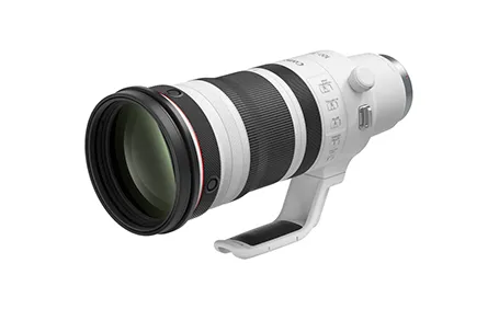 RF100-300mm F2.8 L IS USM