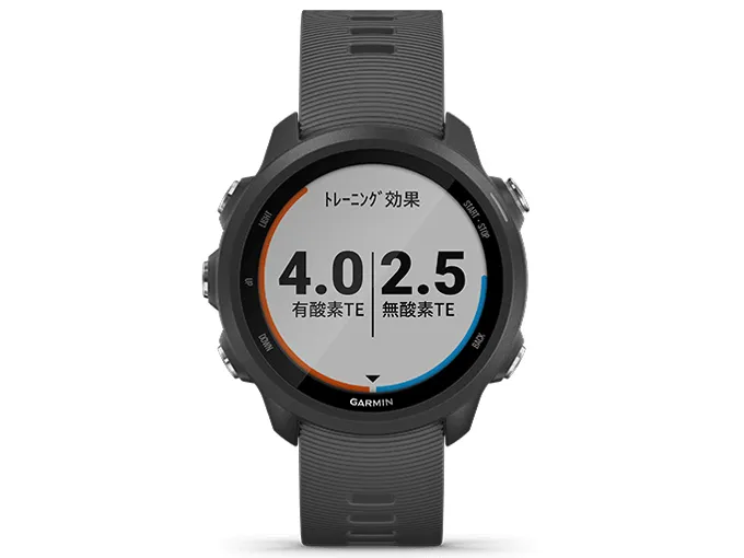 ForeAthlete 245 Black Slate 010-02120-42 ブラックスレート