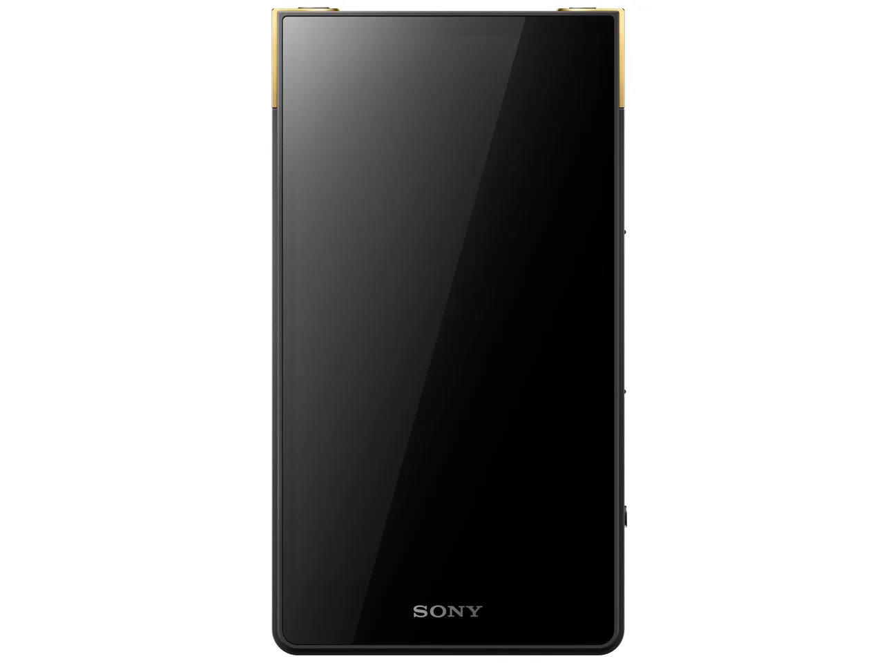 WALKMAN/ウォークマン ZXシリーズ メモリータイプ NW-ZX707