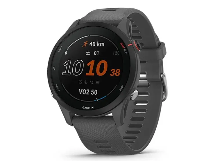 Forerunner 255 010-02641-42 スレートグレー