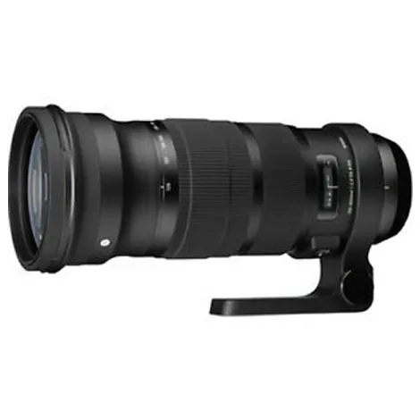 APO 120-300mm F2.8 EX DG HSM ﾆｺﾝ AF用