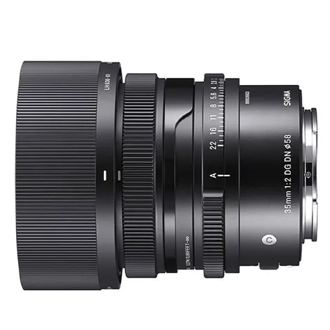 35mm F2 DG DN ソニーE用